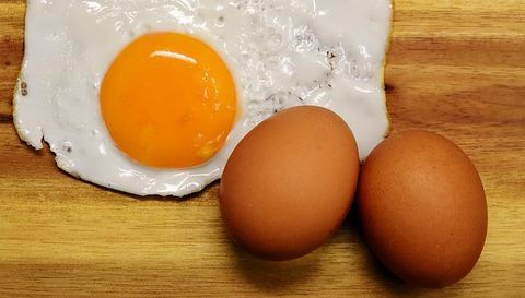 protein từ trứng