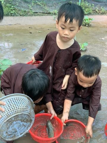Hoạt động ngoài trời tại trường Mầm non Song Ngữ Kids’ Kingdom có gì nổi bật?