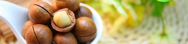 Lợi ích dinh dưỡng tuyệt vời của hạt Macca và cách dùng cho hiệu quả