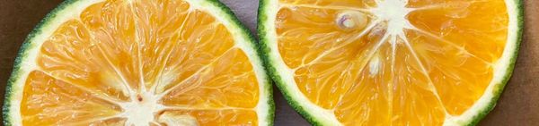 Cách phân biệt cam sành Việt Nam và cam sành Trung Quốc