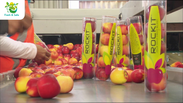 Táo Rockit đến từ New Zealand - sức hấp dẫn độc đáo từ vùng nguyên sơ