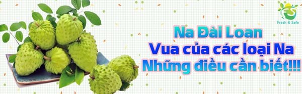 Na Đài Loan - Vua của các loại Na: Cách nhận biết và cách ăn đúng cách