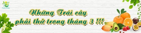 TOP 5 loại trái cây tốt cho sức khỏe trong tháng 3