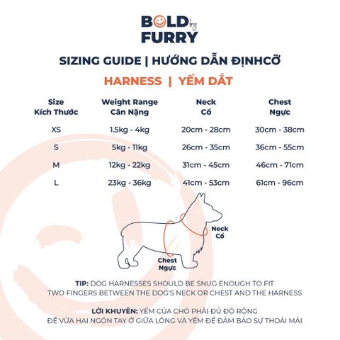 BOLD HARNESS SIZE GUIDE