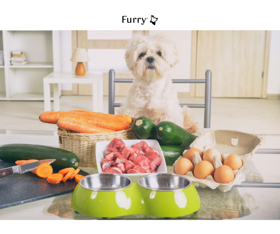 5 Superfoods for a Healthier, Longer Life for Your Dog!