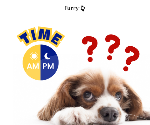 Do Dogs Understand Time? 5 Surprising Facts Every Pet Owner Should Know