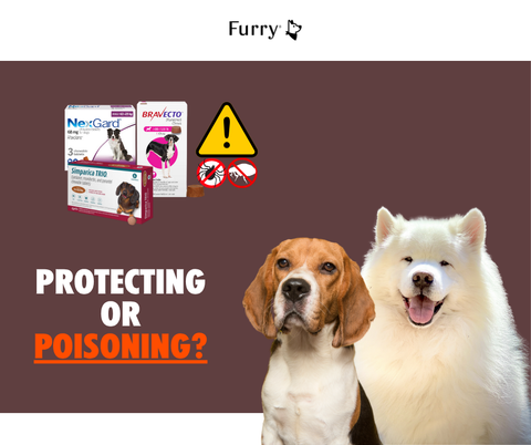 Protecting or Poisoning? 5 Important Facts About Long-Term Tick & Flea Medication
