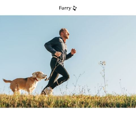 Running with Your Dog: A Beginner's Guide to Safe and Happy Runs