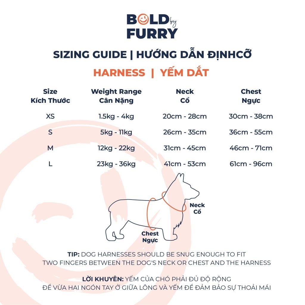 Hướng dẫn định cỡ cho Yếm dắt BOLD COLLECTION