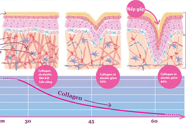 Viên Uống Collagen 100% Ngăn Ngừa Lão Hóa Da NUCOS COLLAGEN 100% FOR ANTI AGING