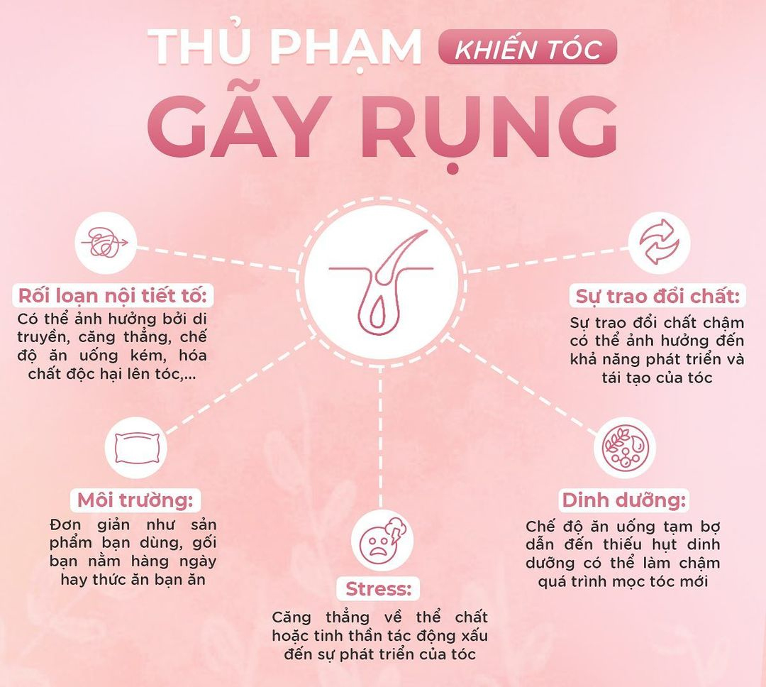 4 Giai Đoạn Trong Chu Trình Phát Triển Tóc