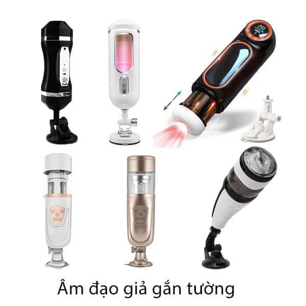 Âm đạo giả gắn tường