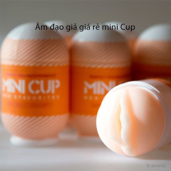 Âm đạo giả giá rẻ mini Cup