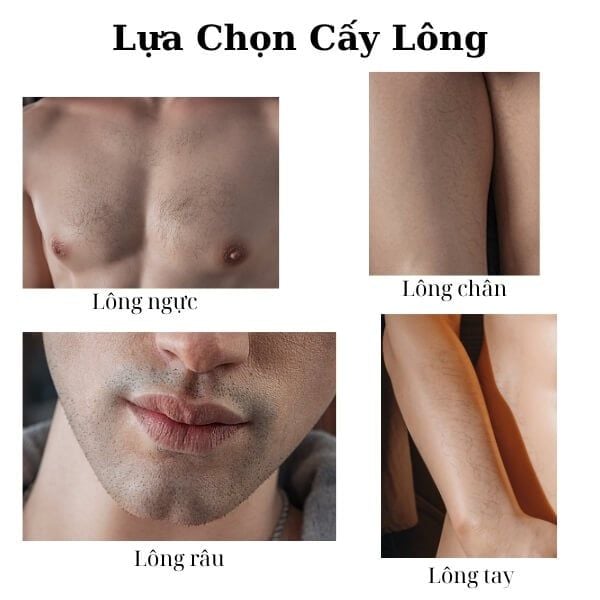 Búp Bê Tình Dục Silicon Cao Cấp Nam 6 Múi Điển Trai KEVIN