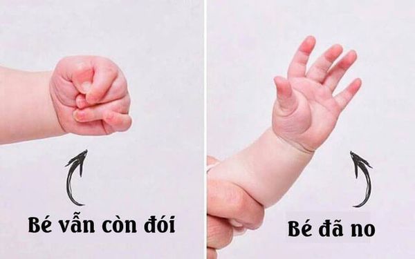 Cách nhận biết bé đã no sữa