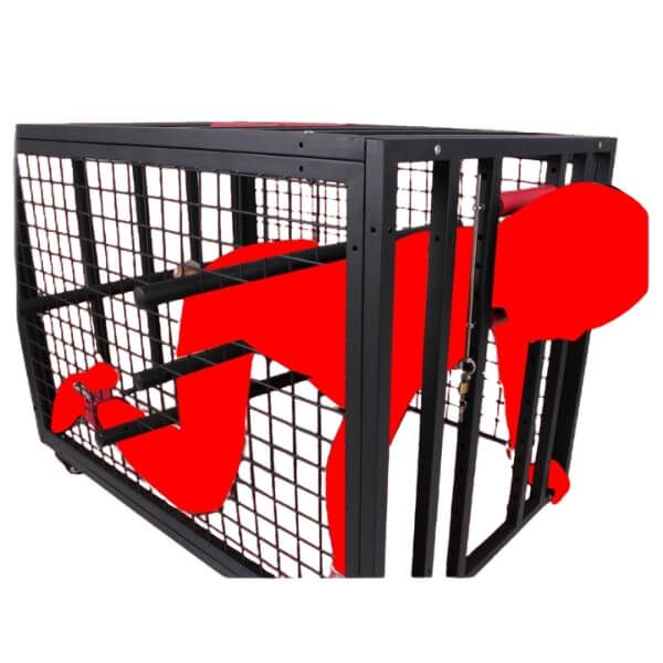 Lồng Chó Huấn Luyện Giam Cầm Tra Tấn Tình Dục Bạo Dâm BDSM