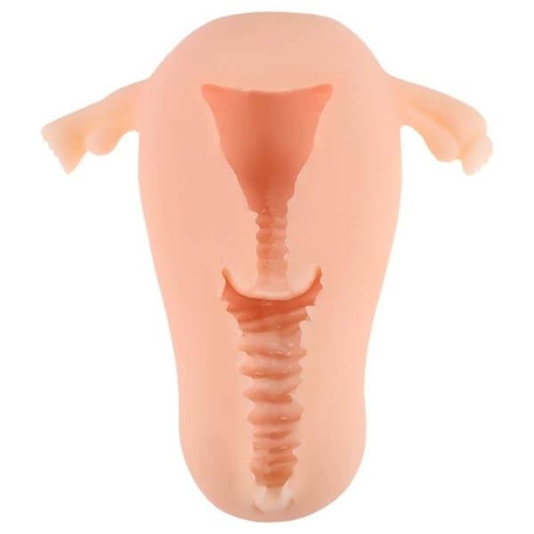Tử Cung Phụ Nữ Có Âm Đạo Giả MANMIAO REAL UTERUS Siêu Mềm Mại