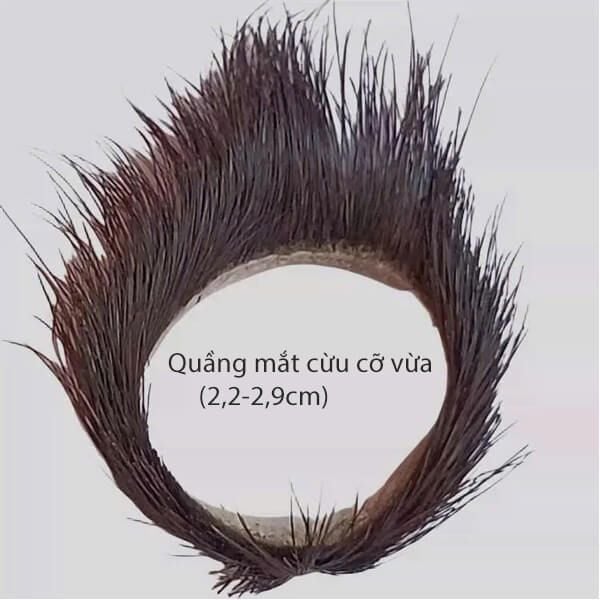 Vòng mắt cừu mí dê lông thú rậm đeo dương vật kích thích nữ