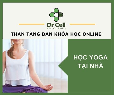 Tặng khoá học Yoga trực tuyến - khỏe đẹp ngay tại nhà miễn phí
