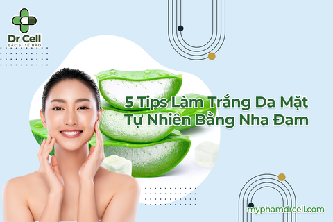 5 Tips Làm Trắng Da Mặt Tự Nhiên Bằng Nha Đam Quen Thuộc