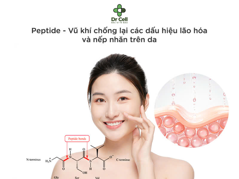 Peptide là gì? Vì sao lại có mặt trong nhiều sản phẩm làm đẹp?