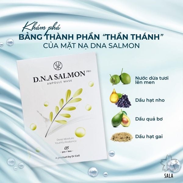Mặt nạ thạch dừa DNA Salmon Dr Cell
