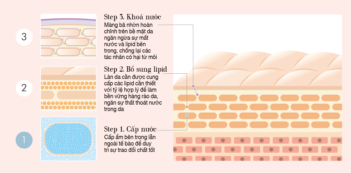 có 3 loại dưỡng ẩm mà da cần