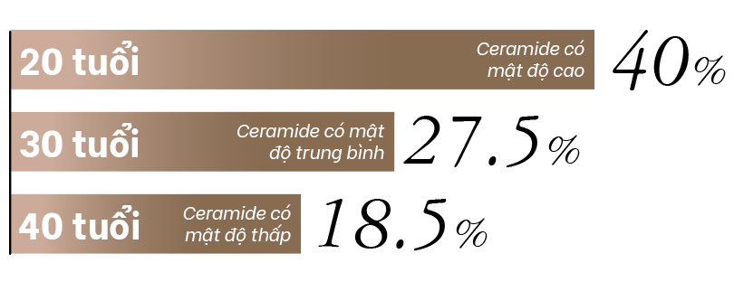 Hàm lượng Ceramide ở da giảm dần theo độ tuổi