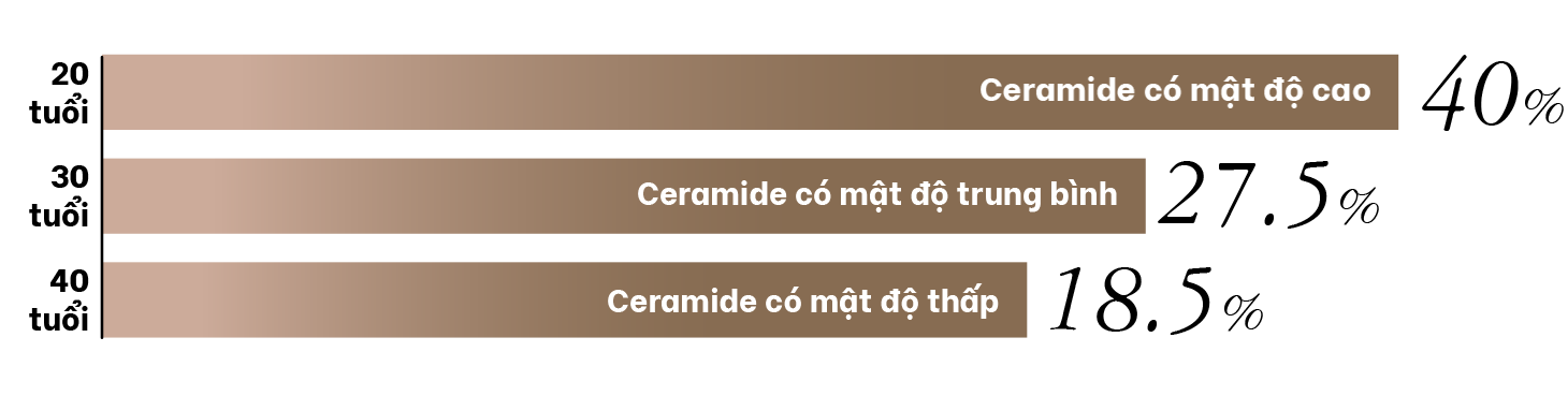 Hàm lượng Ceramide ở da giảm dần theo độ tuổi