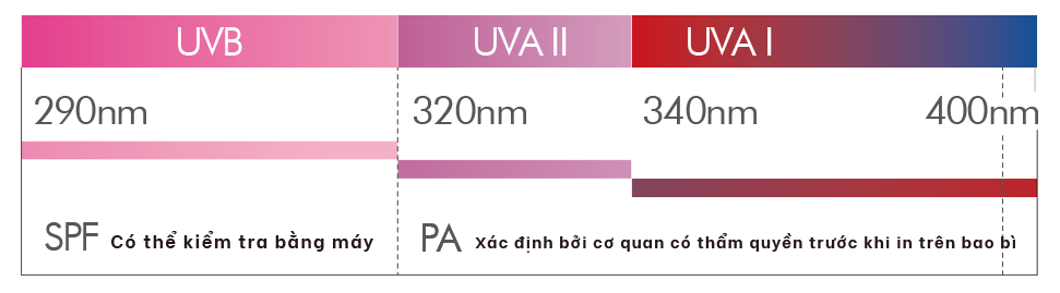 Mức độ gây hại của các loại tia UVA/UVB