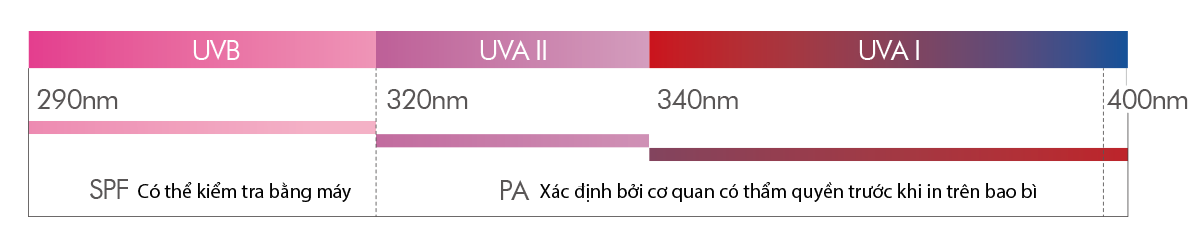 các loại tia UVA/ UVB