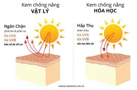 Phân Biệt Kem Chống Nắng Vật Lý, Kem Chống Nắng Hóa Học
