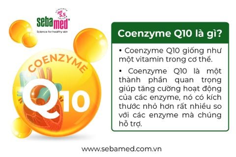 Coenzyme Q10 Là Gì? Thần Dược Chống Lão Hóa