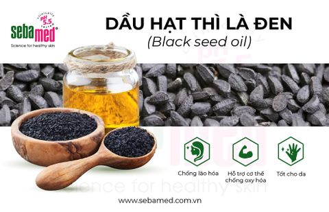 8 Lợi Ích Của Dầu Hạt Thì Là Đen (Black Seed Oil) Trở Thành Siêu Thực Phẩm Bổ Sung