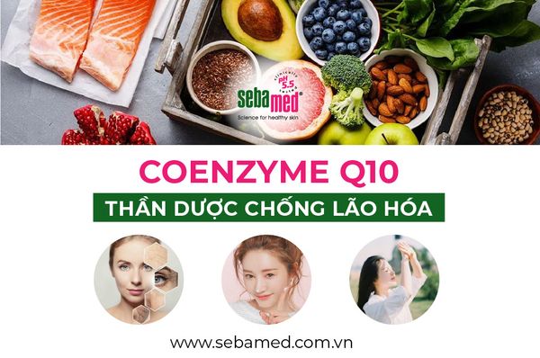 Coenzyme Q10 - thần dược chống lão hóa