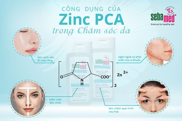 Công dụng của Zinc PCA trong chăm sóc da