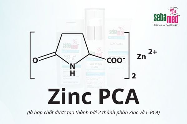 Zinc-PCA là gì?