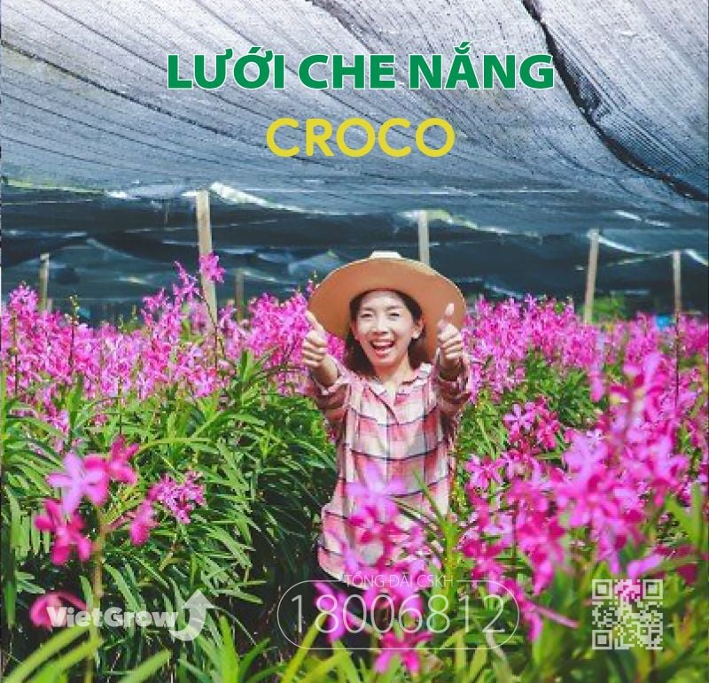 Trải nghiệm lưới che nắng hiệu cá sấu Croco