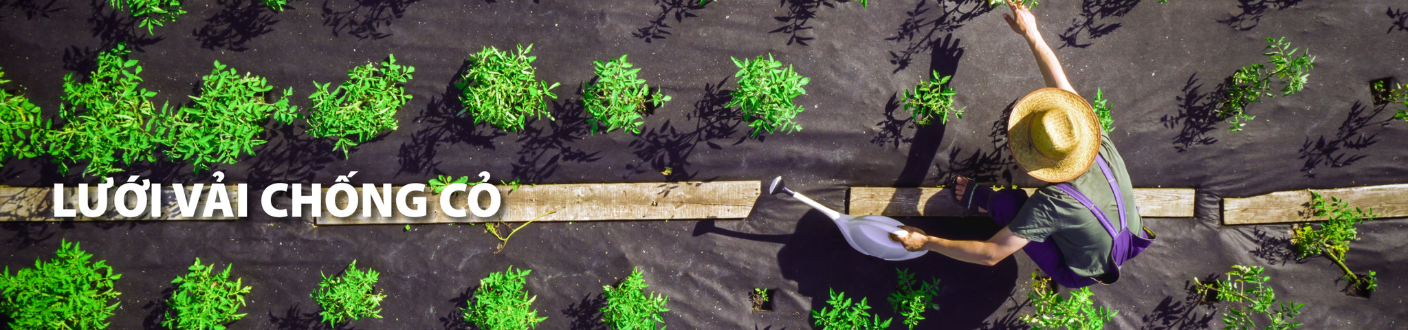 Lưới vải chống cỏ