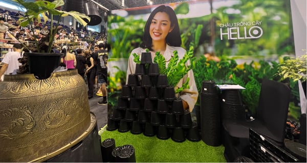 CHẬU NHỰA TRỒNG CÂY