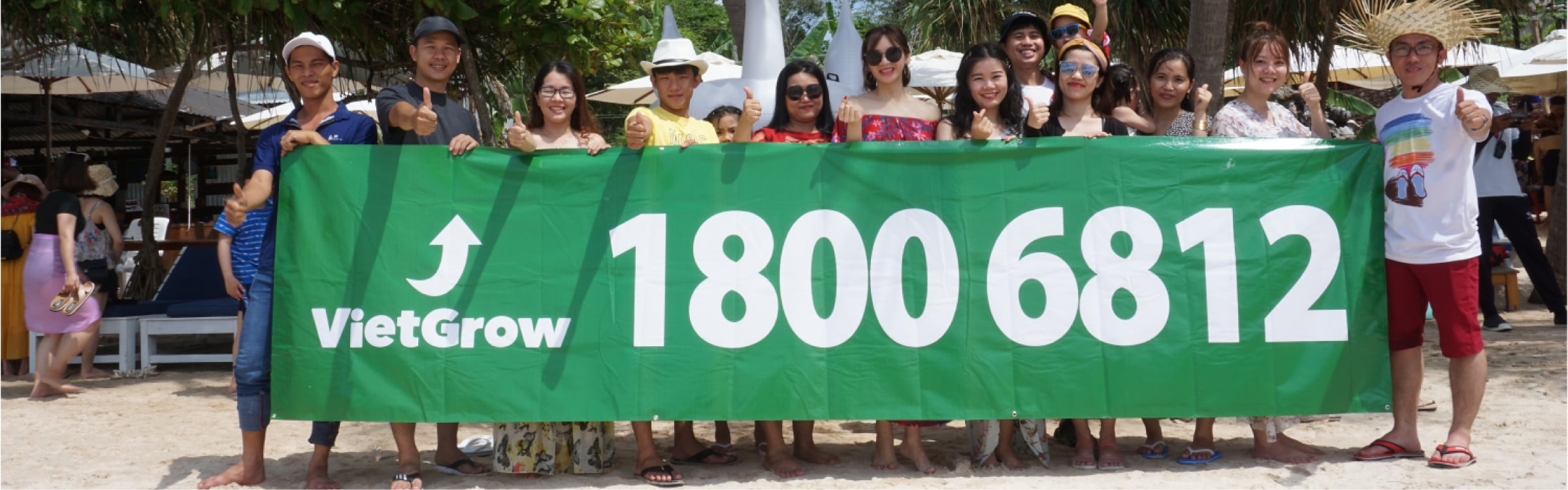 Bầu ươm v6 trồng mai vàng