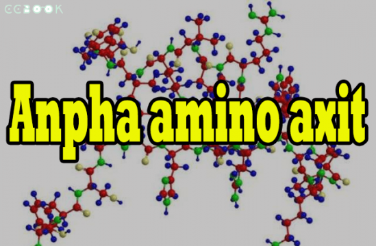 Khoanh vùng kiến thức anpha amino axit vừa khít để thi THPT Quốc gia