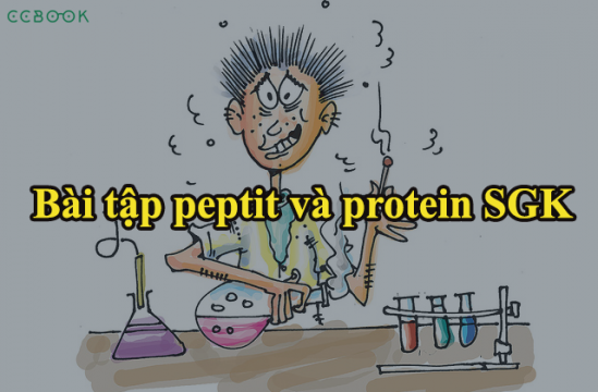 Hướng dẫn giải toàn bộ bài tập peptit và protein SGK cặn kẽ nhất