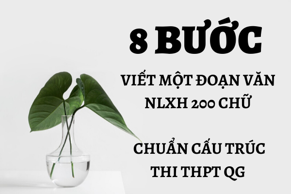 Thi vào 10 Những lỗi học sinh thường gặp khi làm bài văn Nghị luận Xã hội   Báo Dân trí