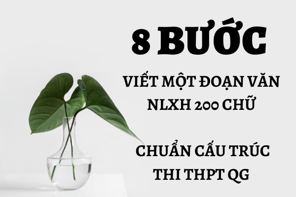 Cách viết văn nghị luận xã hội chuẩn cấu trúc 8 bước ăn chắc 2 điểm trong đề THPT QG