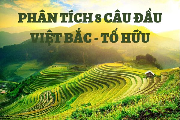 TOP 3 bài văn mẫu cảm nhận 8 câu đầu bài thơ Việt Bắc hay nhất