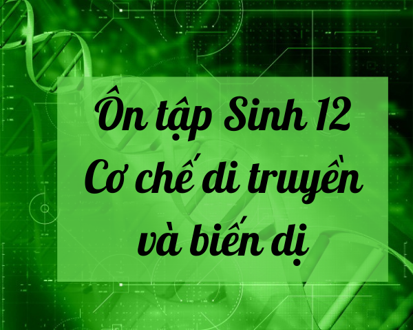 Tổng ôn tập kiến thức Sinh học 12: Cơ chế di truyền và biến dị