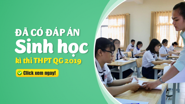 Đáp án án đề thi THPT Quốc Gia 2019 môn Sinh học (Đáp án chính thức)