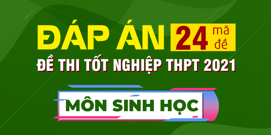 Đáp án đề thi THPT Quốc gia 2021 môn Sinh học (24 mã đề)