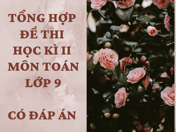 Đề thi học kì 2 toán 9: Bộ 6 đề có đáp án - liên tục cập nhật